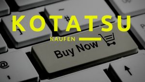 Kotatsu kaufen
